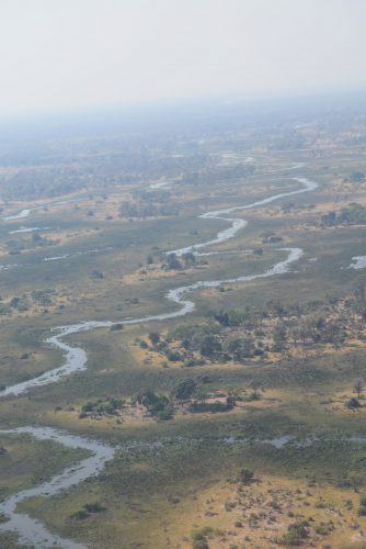 botswana-large-1035