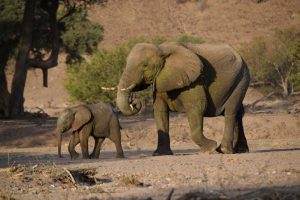 namibie-large-1072