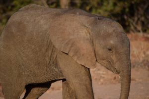 namibie-large-1097