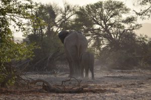 namibie-large-1107
