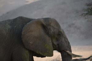 namibie-large-1113