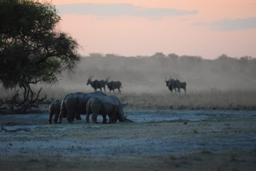 botswana-large-2054