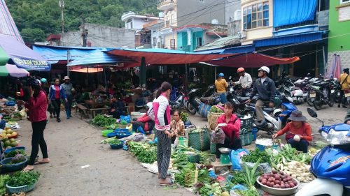 vietnam-large-241